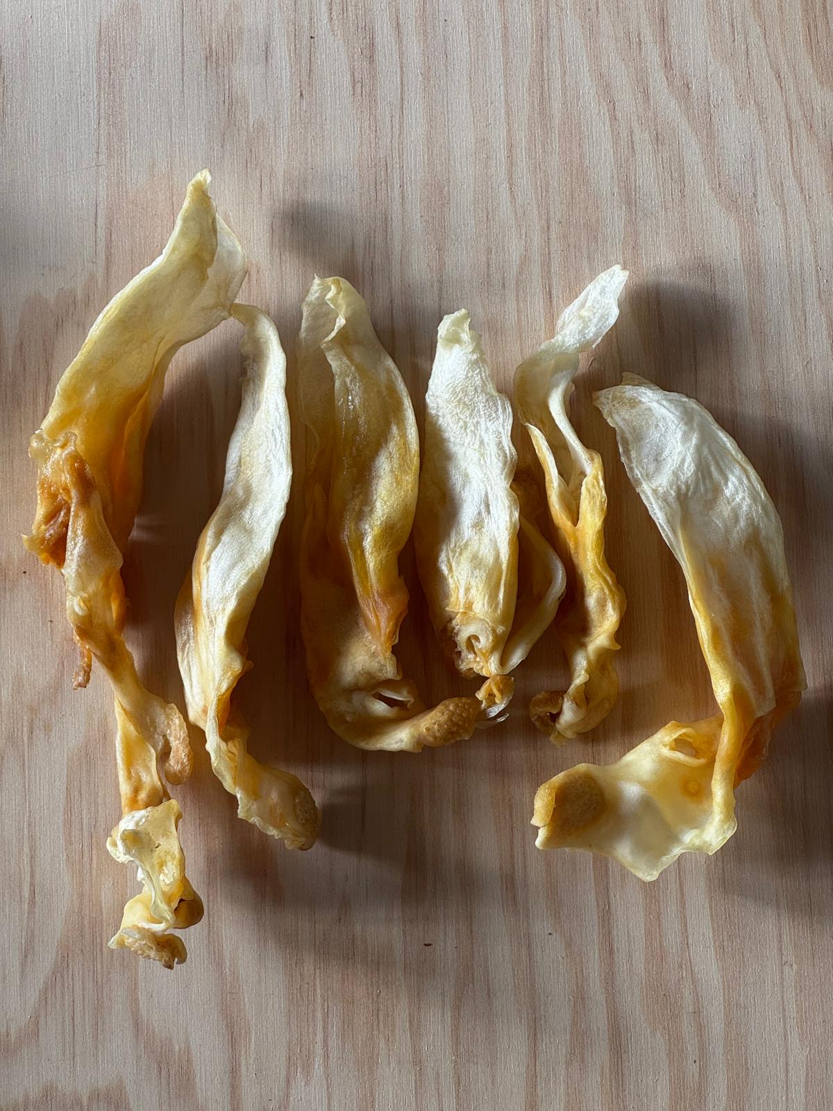Oreja de Conejo