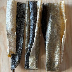 Piel de Salmón